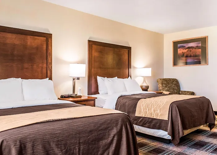 Hotel Comfort &