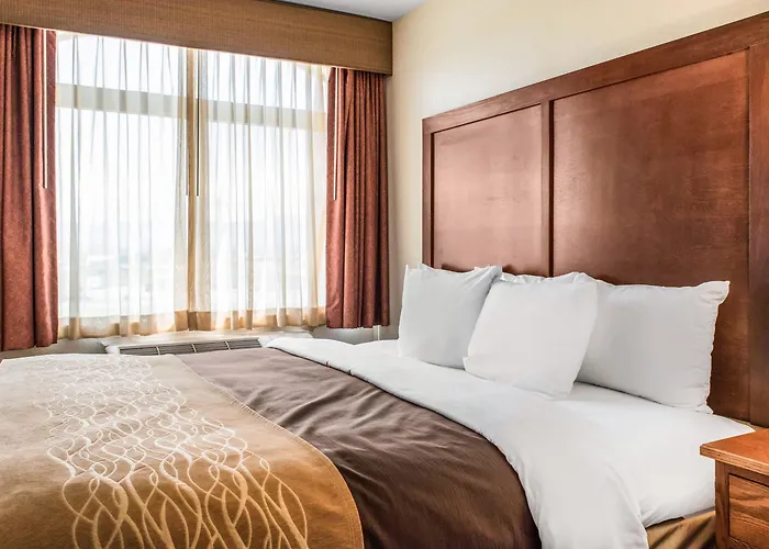 Hotel Comfort & 4*