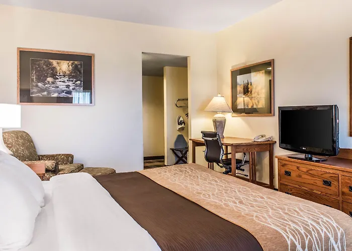 Comfort & 4*