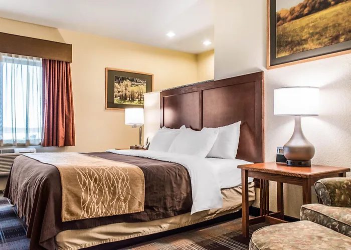 Comfort & Hotel Sheridan