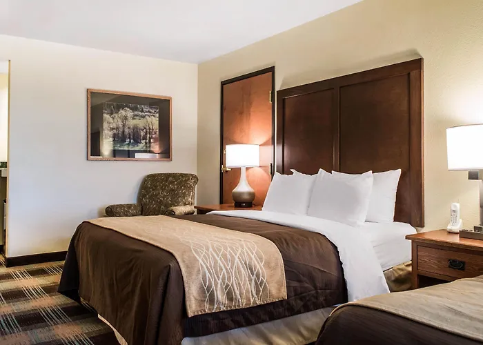 Comfort & 4* Sheridan