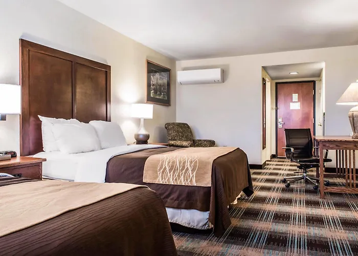 Comfort & 4*